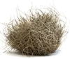 another tumbleweed