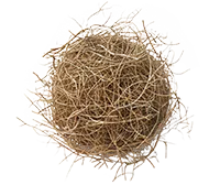 tumbleweed